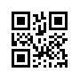 VISS33134